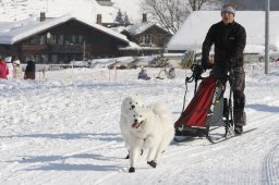 Lenk 2012 SM